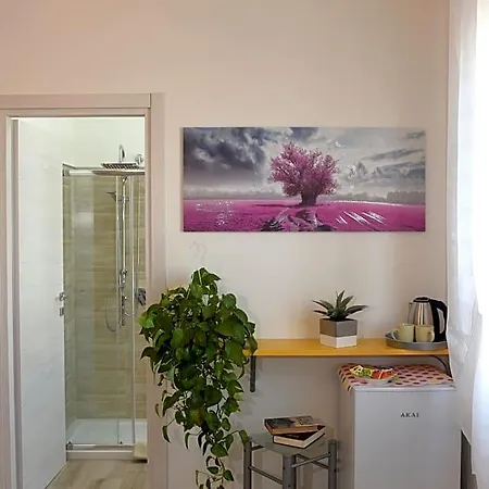 L'anfora B&B 알게로