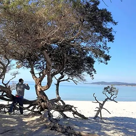 L'anfora 알게로